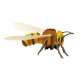 3D Paper Model - Bee