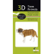 3D Paper Model - St Bernard