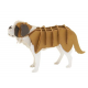 3D Paper Model - St Bernard
