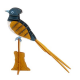 3D Paper Model - Bird of paradiese