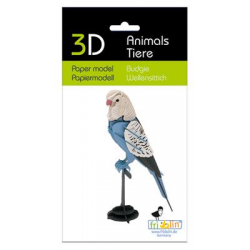 3D Paper Model - Budgerigar