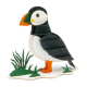 3D Paper Model - Puffin