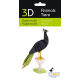 3D Paper Model - Peacock 2