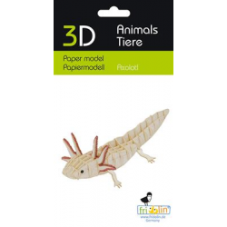 3D Paper Model - Axolotl