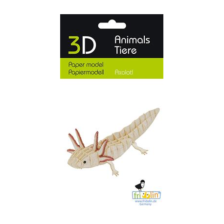3D Paper Model - Axolotl