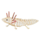 3D Paper Model - Axolotl