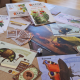 Roletime - La Plaine des Bourdonnements