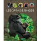 Les grands singes - Album