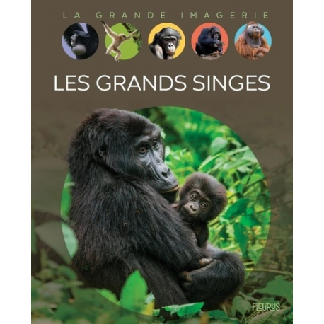 Les grands singes - Album