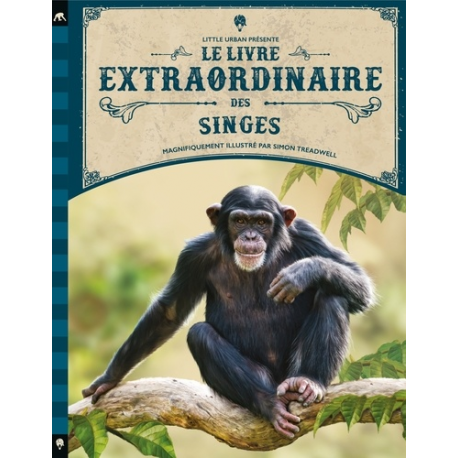 Le livre extraordinaire des singes - Album