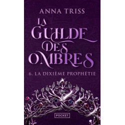 La Guilde des Ombres - Tome 6