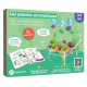 Kit Les plantes aromatiques - Crée ton jardin aromatique de basilic vert et pourpre