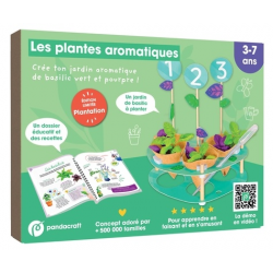 Kit Les plantes aromatiques - Crée ton jardin aromatique de basilic vert et pourpre