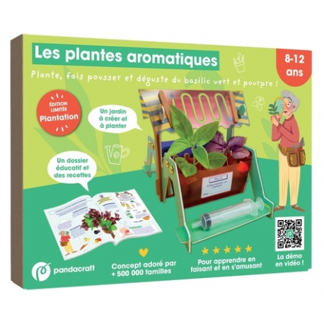 Kit Les plantes aromatiques - Plante- fait pousser et déguste du basilic vert et pourpre