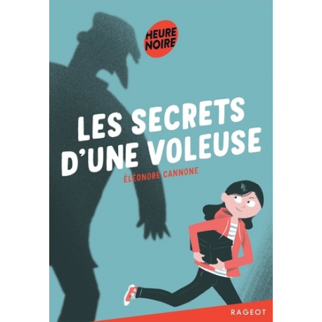 Les secrets d'une voleuse - Poche
