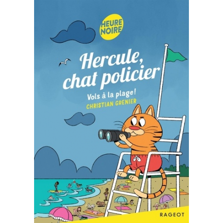 Vols à la plage