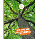 Vis ma vie de chêne - Grand Format