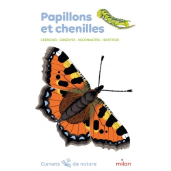 Papillons et chenilles - Grand Format