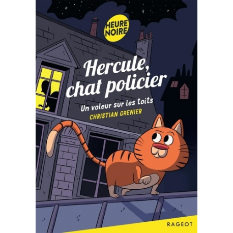 Un voleur sur les toits