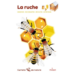 La ruche - Grand Format