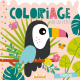 Coloriage pour les petits - Tropical - Album