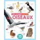 Les oiseaux - 46 sons - Album
