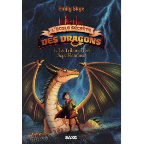 L'école secrète des dragons - Tome 5