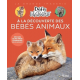 A la découverte des bébés animaux - Des quiz et des infos étonnantes sur les animaux ! - Album