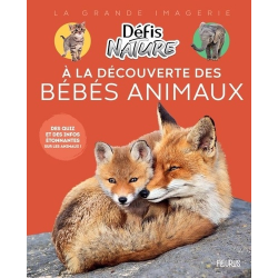 A la découverte des bébés animaux - Des quiz et des infos étonnantes sur les animaux ! - Album