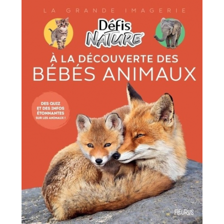 A la découverte des bébés animaux - Des quiz et des infos étonnantes sur les animaux ! - Album