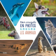 Animaux - Mon encyclo en photos - Album