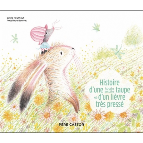 Histoire d'une toute petite taupe et d'un lièvre très pressé