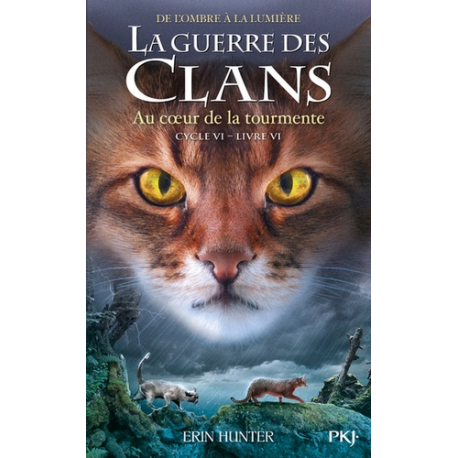 La guerre des clans : De l'ombre à la lumière (Cycle VI) - Tome 6
