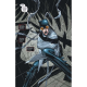 Catwoman (DC Renaissance) - Tome 4 - La main au collet
