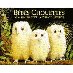 Bébés chouettes