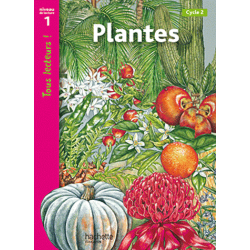 Plantes - Niveau 1, Cycle 2