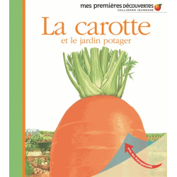 La carotte et le jardin potager