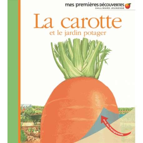 La carotte et le jardin potager