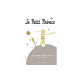 Le Petit Prince - Le grand livre pop-up