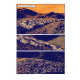Loup (Le) - Le Loup