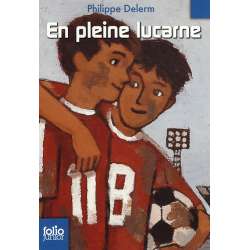 En pleine lucarne