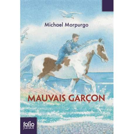 Mauvais garçon