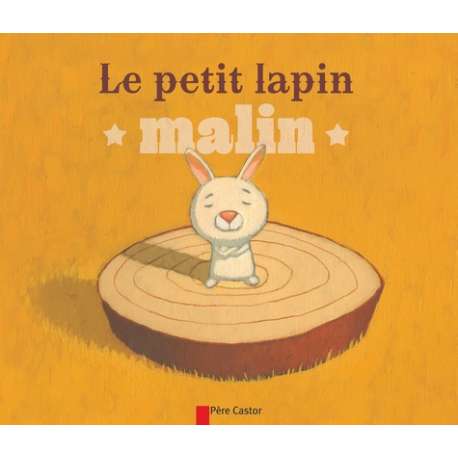 Le petit lapin malin - Poche