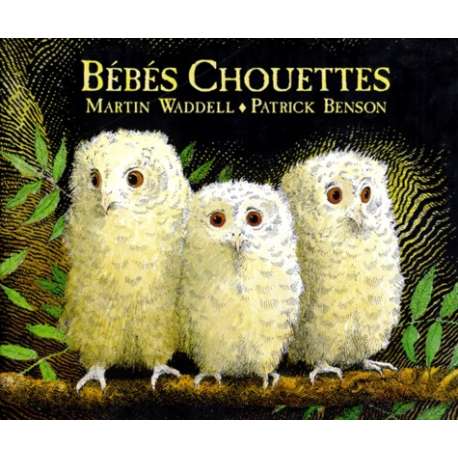 Bébés chouettes - Album