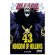 Bleach - Tome 43 - Kingdom of Hollows