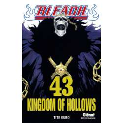 Bleach - Tome 43 - Kingdom of Hollows