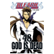 Bleach - Tome 48 - God is Dead