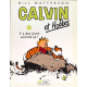 Calvin et Hobbes - Tome 23 - Y a des jours comme ça !