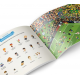 Histoire du foot