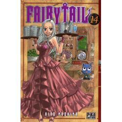 Fairy Tail - Tome 14 - Tome 14
